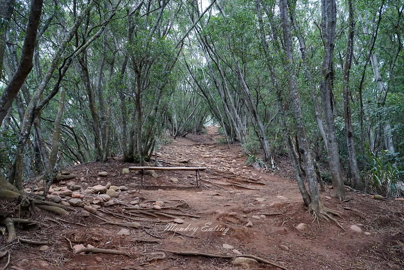 苗栗三義｜火炎山登山步道