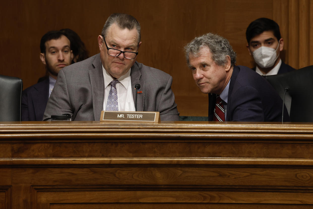 Tester and Brown at a Senate hearing about the Consumer Financial Protection Bureau, Dec. 15, 2022