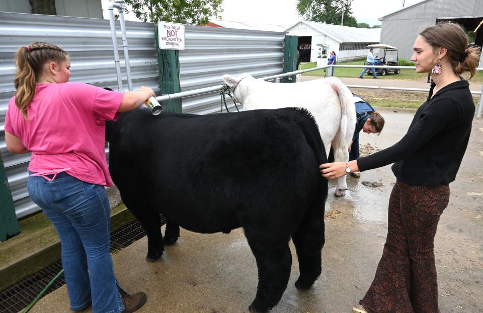 Alia Howe was second with the reserve grand champion beef steer. Her sister Katrina and oldest sister Cara showed the white steer after Cara aged out of the 4-H program.