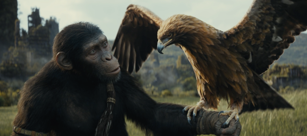 Noa in a scene from Kingdom of the Planet of the Apes