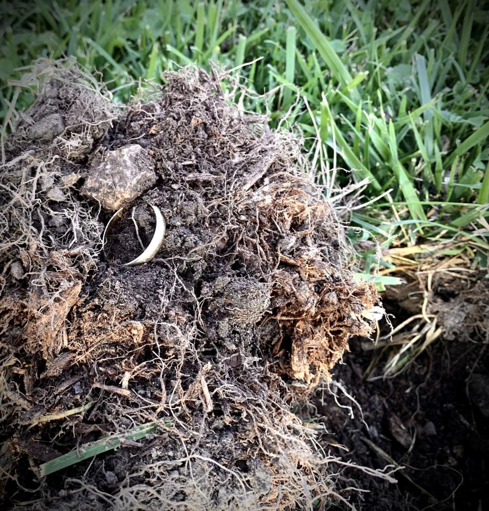 St. Croix Hospice Chaplain Paul Humphreys found  Dewey Sherman’s wedding ring under 6 inches of dirt.