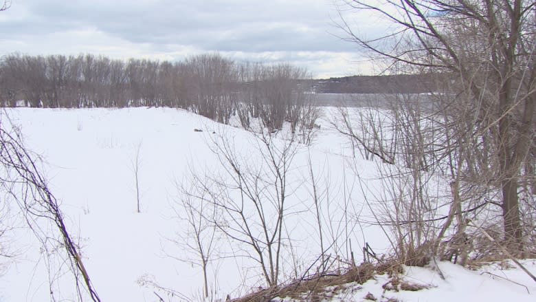 Fredericton takes another look at former Irving tank farm site on river