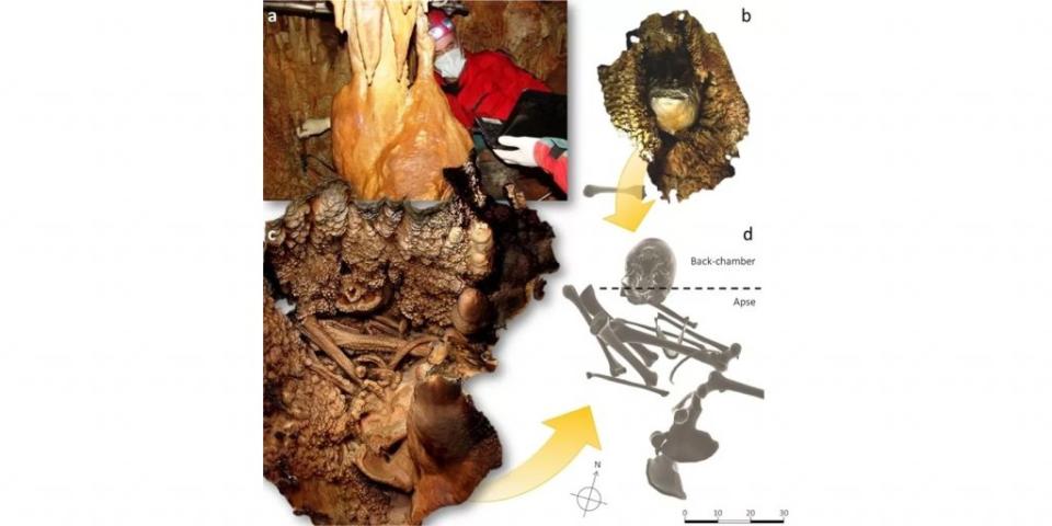 Esqueleto neandertal