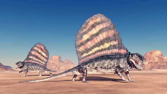 Dimetrodon GETTY