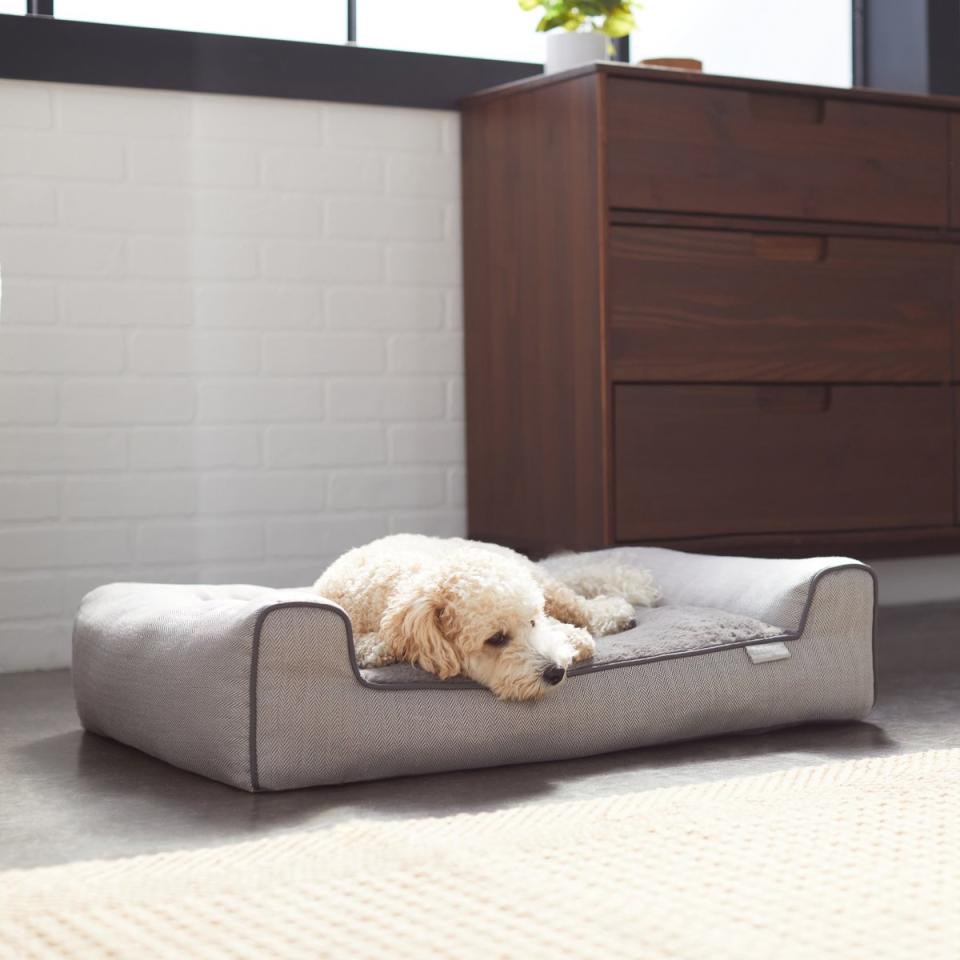 dog couches frisco herringbone modern
