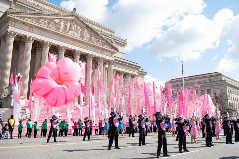 Best Cultural Festival in the U.S.? National Cherry Blossom Festival wins
