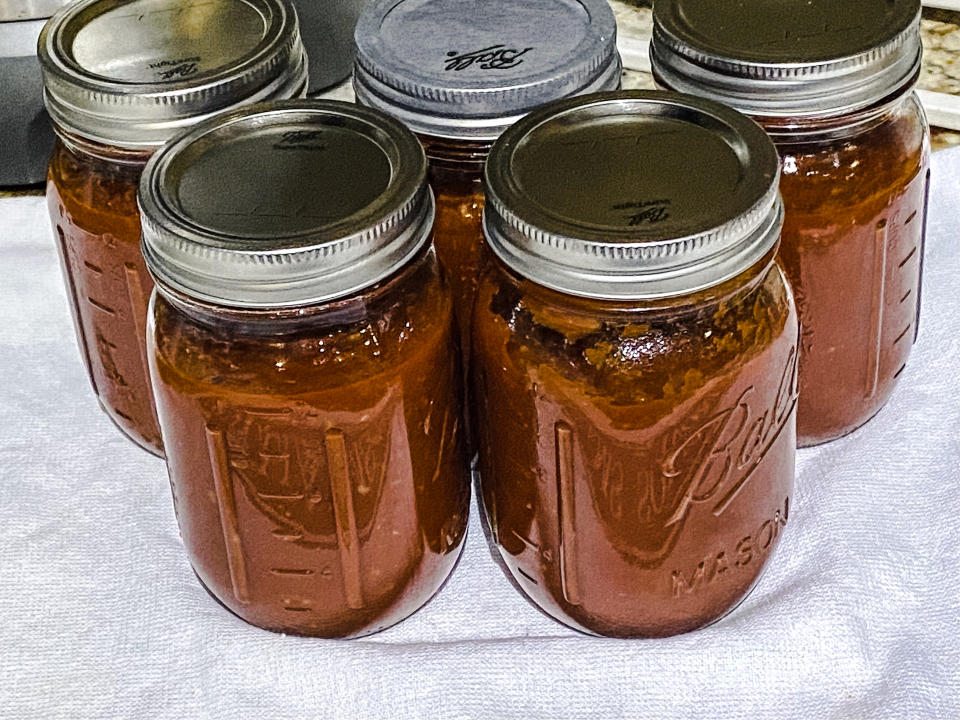 The recipe allowed me to freeze plenty of extra sauce for many more meals. (Terri Peters)