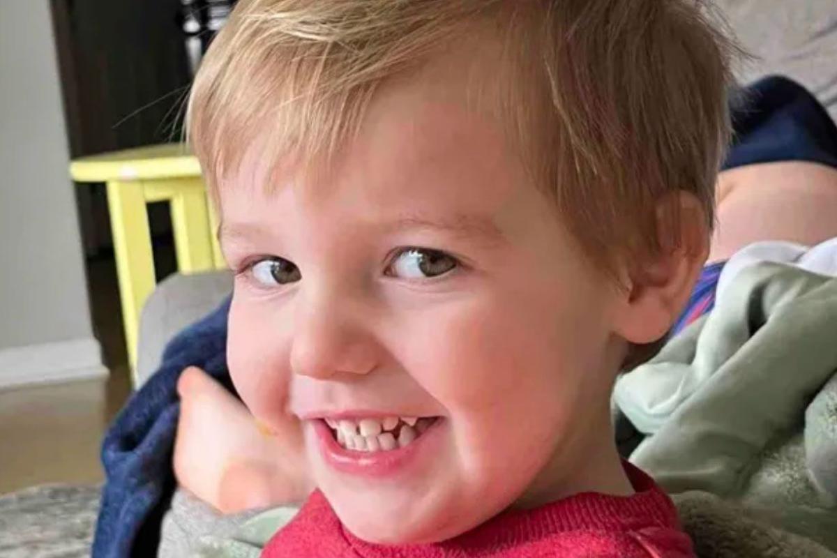 2-year-old Ala. Boy killed by neighbour's dogs: 'Tragic accident