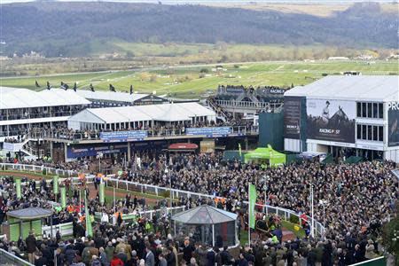 Jockey Barry Geraghty riding Jezki (bottom C) celebrates winning the Champion Hurdle Challenge Trophy at the Cheltenham Festival horse racing meet in Gloucestershire, western England March 11, 2014. REUTERS/Toby Melville