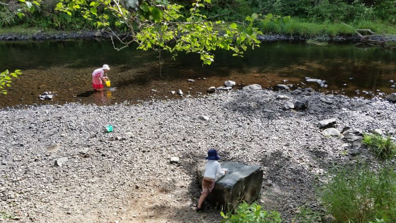 Dry Nova Scotia rivers worry fish conservationists