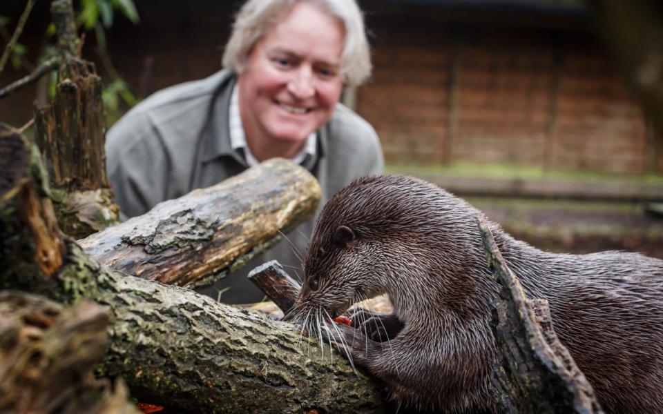 Simon with otter Topaz at the New Forest Wildlife Park - All rights reserved, Ben Phillips Photography