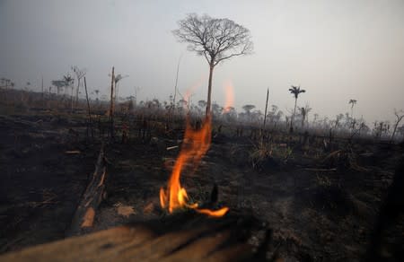 A tract of Amazon jungle burns in Boca do Acre