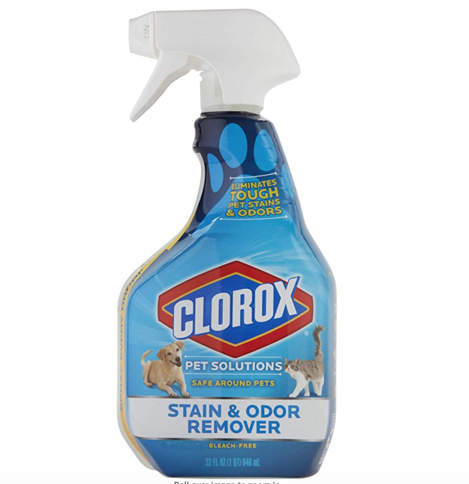 15) Clorox Pet Solutions Stain & Odor Remover
