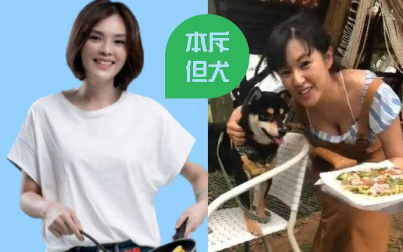 韓國瑜陣營前發言人何庭歡（右）與愛犬歐米魯直播烤肉，一個「邪惡視角」讓鄉民把正妹最高榮譽「本斥但大」改為「本斥但犬」，大喊「流口水了」！國民黨市長候選人李眉蓁（左）照抄就穩了！（翻攝自何庭歡、李眉蓁臉書）