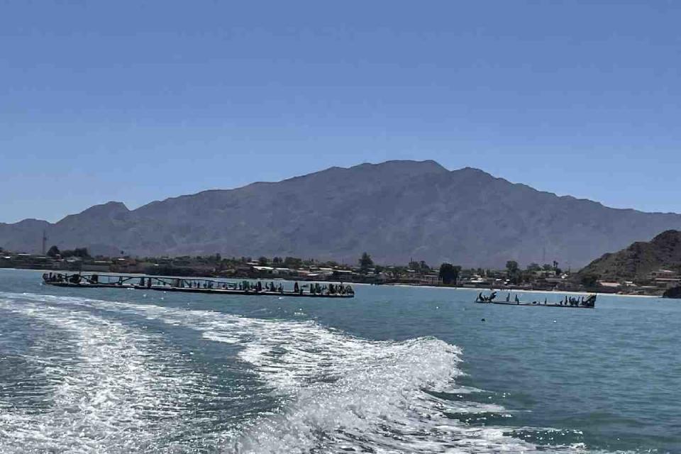 Granja de totoaba dentro del Alto Golfo de California y cercano al puerto de San Felipe, Baja California. Foto Luis Madrid / Animal Político