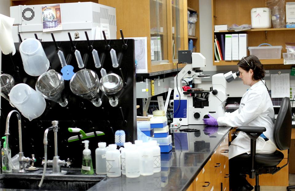 A worker collects data at a laboratory inside the University of Florida's Sid Martin Biotechnology Incubator in Alachua.