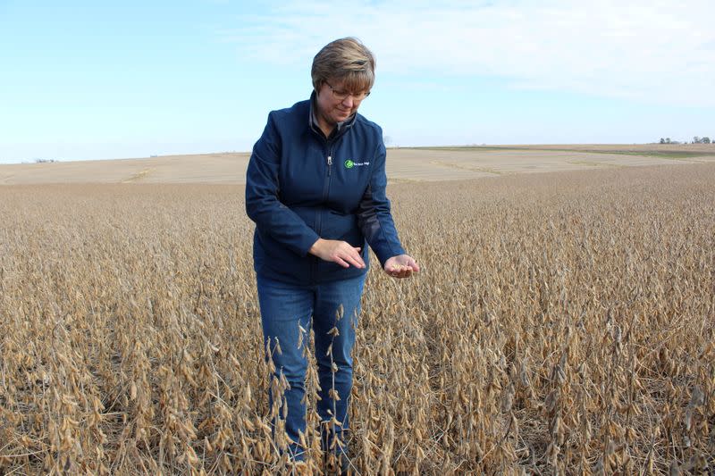 FILE PHOTO: Soybean farmer Pat Swanson examines her soybean crops in Ottumwa, Iowa