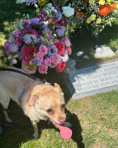 <p>Drena De Niro/Instagram</p> Grave of Leandro De Niro-Rodriguez