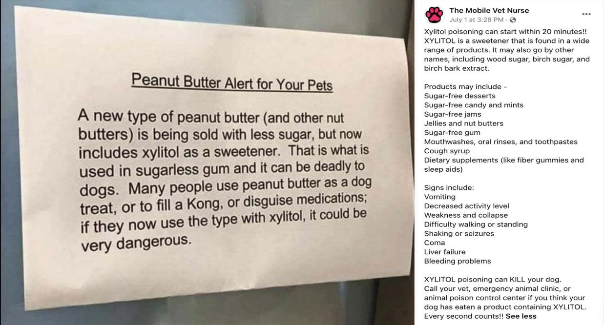 can peanuts kill dogs