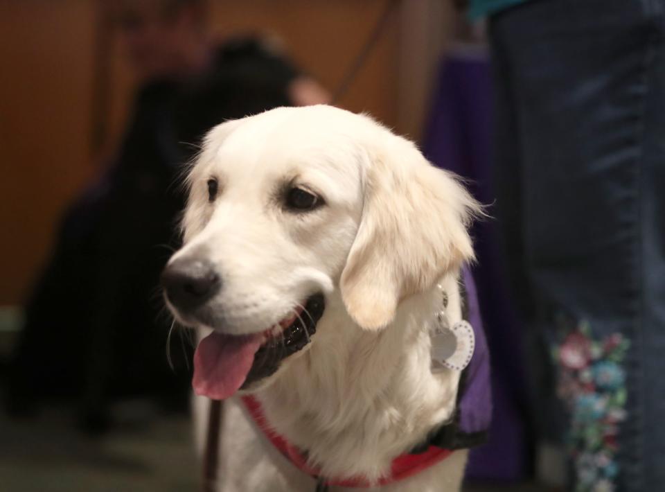 Artemis the dog interacts with Arizonans at City of Grace church in Mesa on Saturday, June 24, 2023.