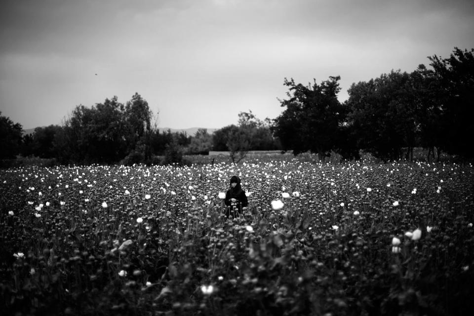 A girl stands in the middle of a poppy field as Marines pass by on patrol. <i>From the story "<a href="http://www.npr.org/sections/pictureshow/2011/05/13/136213445/in-afghanistan-flowers-call-the-shots" target="_blank">In Afghanistan, Flowers Call The Shots</a>," 2011.</i>