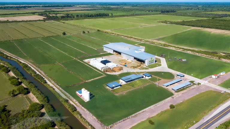 La planta está en Santiago del Estero, "capital nacional" de la alfalfa.