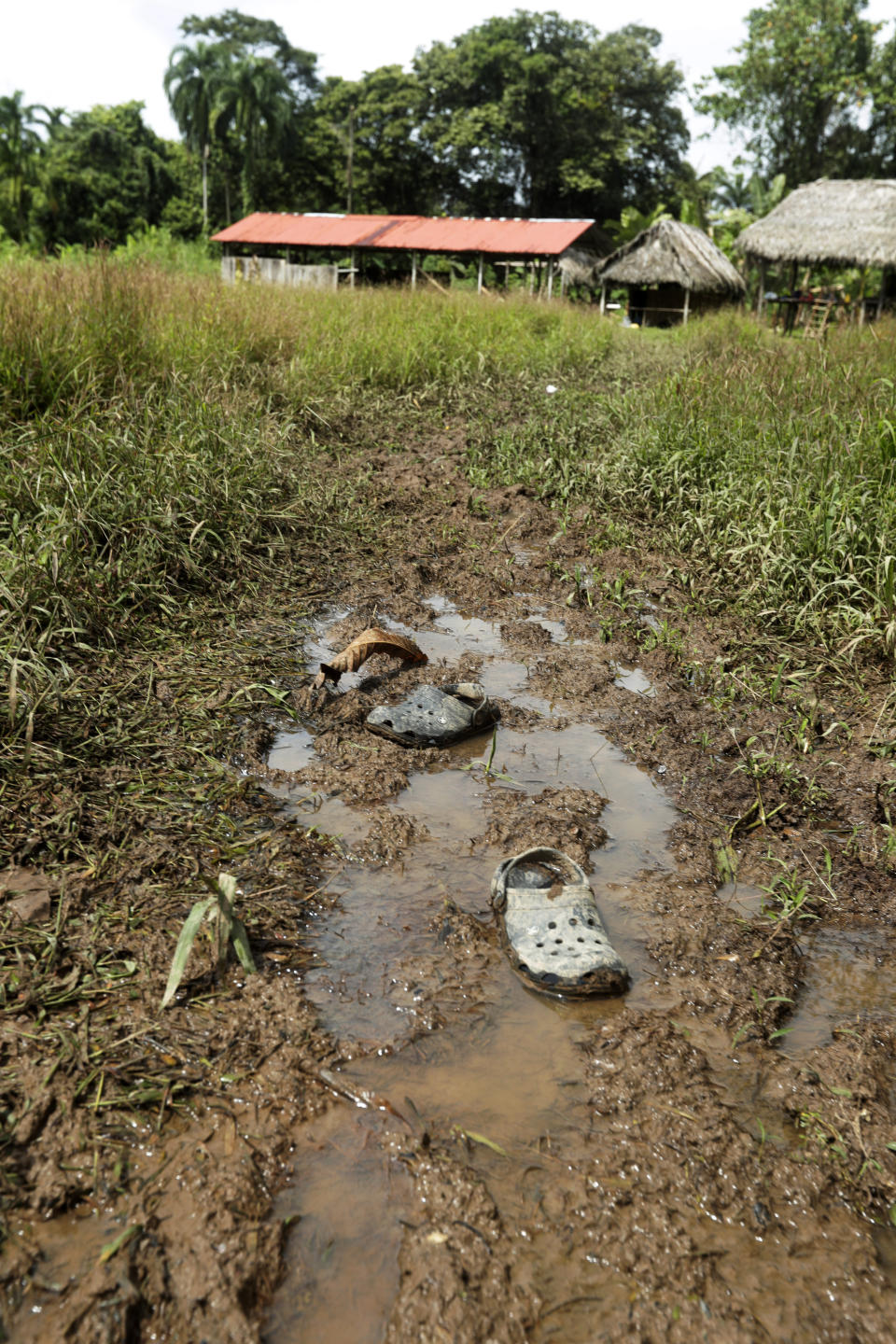 Shoes are abandoned on a mud puddle outside the improvised temple where a pregnant woman, five of her children and a neighbor were killed in a religious ritual in a jungle community in El Terron, Panama, Friday, Jan. 17, 2020. The indigenous residents were rounded up by about 10 lay preachers on Monday and tortured, beaten, burned and hacked with machetes to make them "repent their sins", authorities said. (AP Photo/Arnulfo Franco)