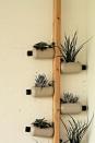 <p>Matching painted plastic bottles mounted to a wooden beam (if you look, you can see a panel of the plastic is peeled back both to make an opening for plants and to mount to the wood artfully) make for a fun vertical garden.</p>