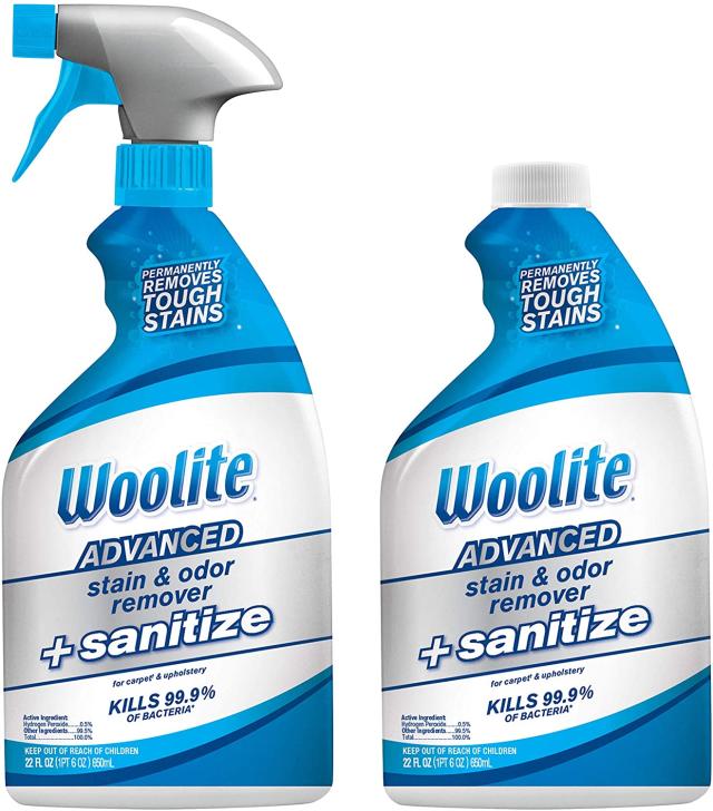 Woolite Free & Clear Pet Stain & Odor Remover 22 Oz, Carpet & Upholstery