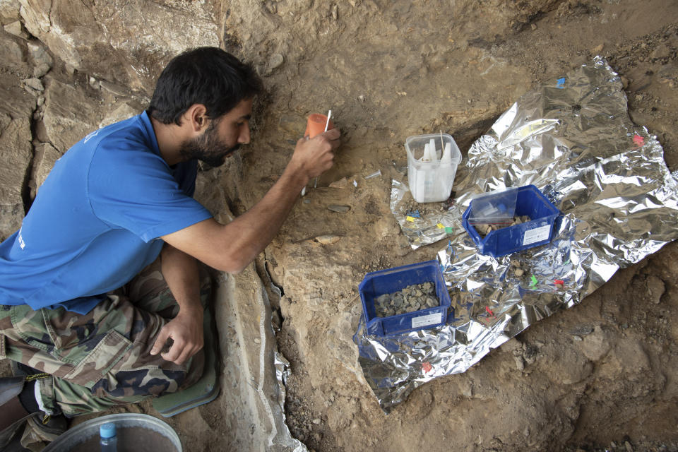 In this photo provided by Bence Viola in October 2022, a researcher excavates a cave in the mountains of Siberia, Russia. In a study published Wednesday, Oct. 19, 2022, in the journal Nature, researchers were able to pull DNA out of tiny bone fragments found in two Russian caves, and used the genetic data to map out relationships between 13 different Neanderthals for clues to how they lived. (Bence Viola via AP)