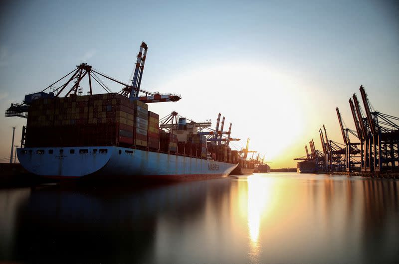 FILE PHOTO: Cargo ships are loaded at container terminals at the harbour in Hamburg