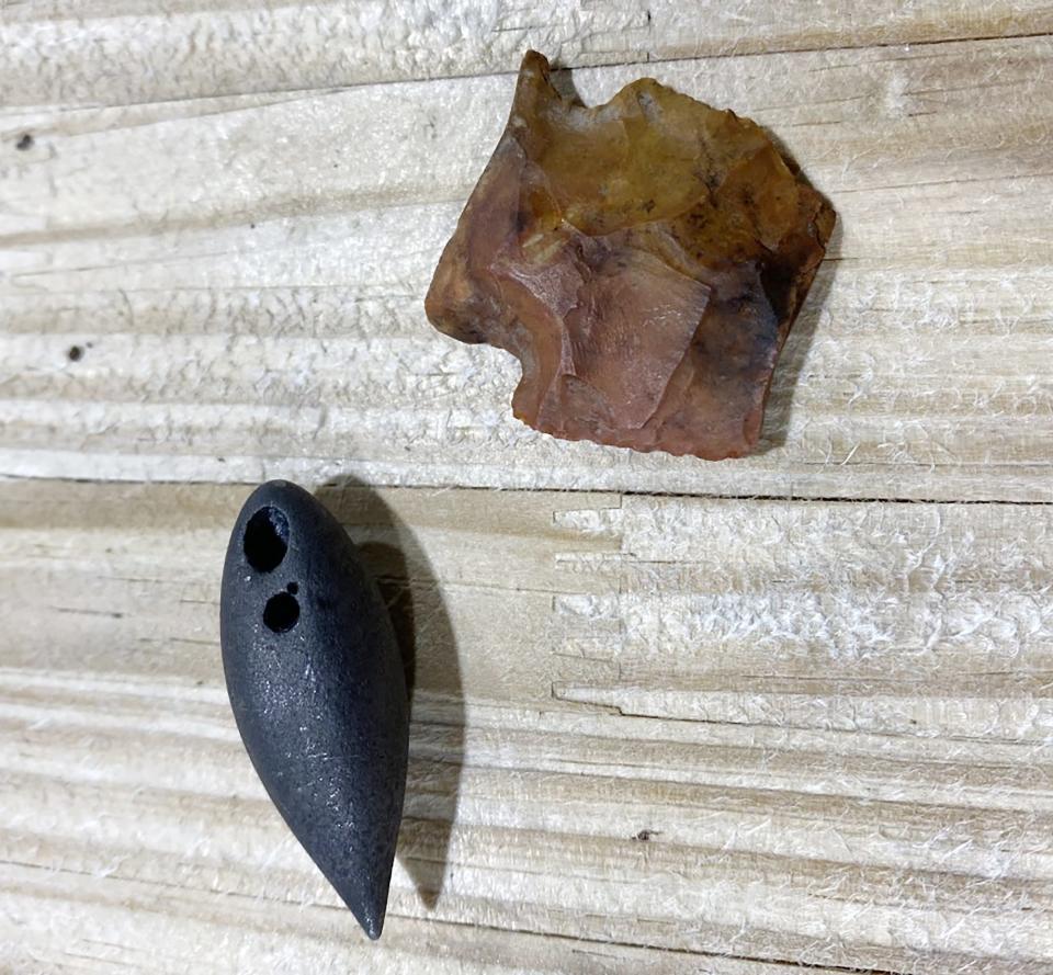 A prehistoric projectile point and another prehistoric object known as a plummet were discovered in the stomach of a 13-foot, 5-inch Mississippi alligator.