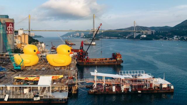 Two giant rubber ducks debut in Hong Kong in bid to drive double