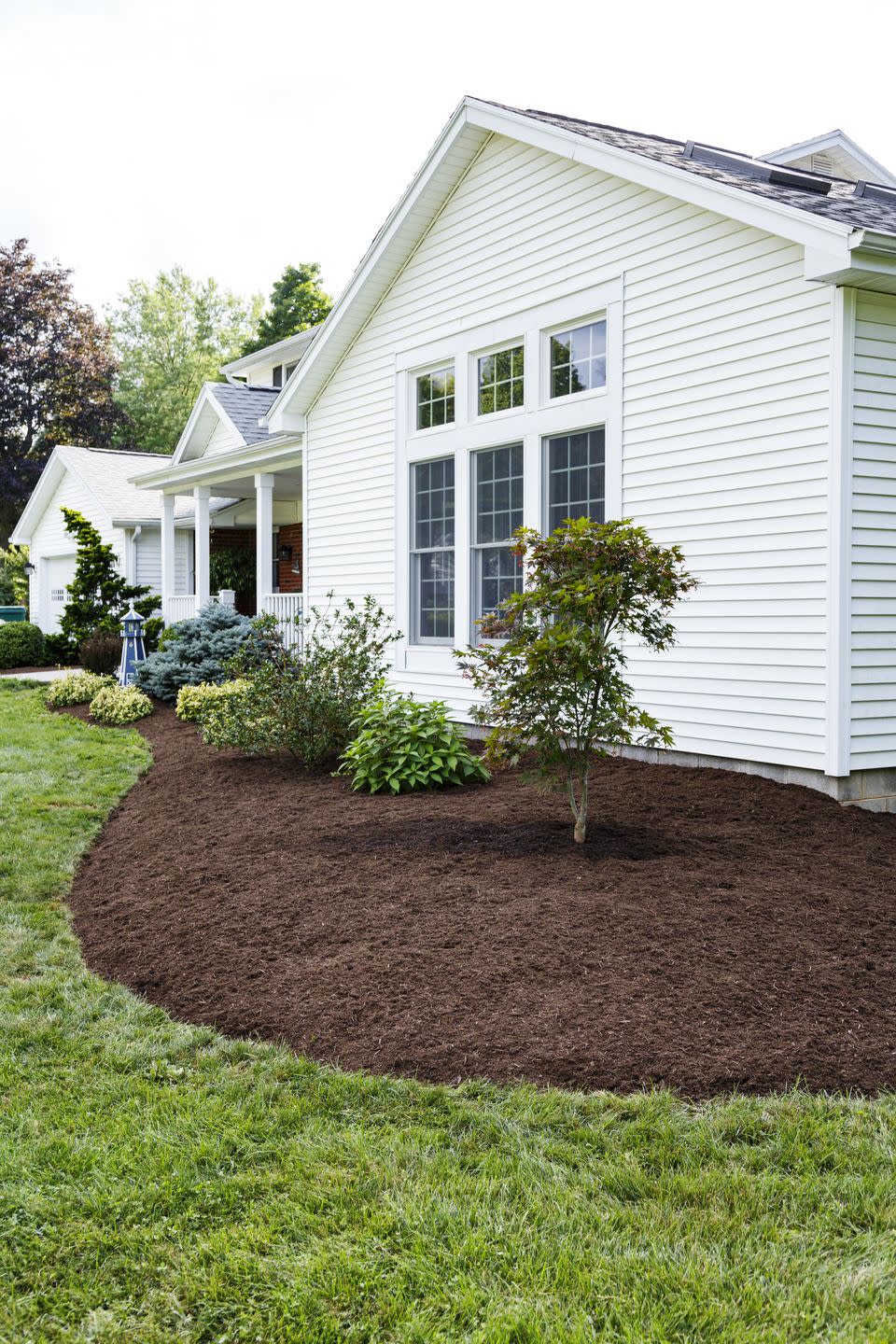 Mulch Around Plants