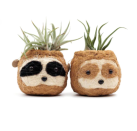 <p><strong>Planters</strong></p><p>shoplikha.com</p><p><strong>$35.00</strong></p>