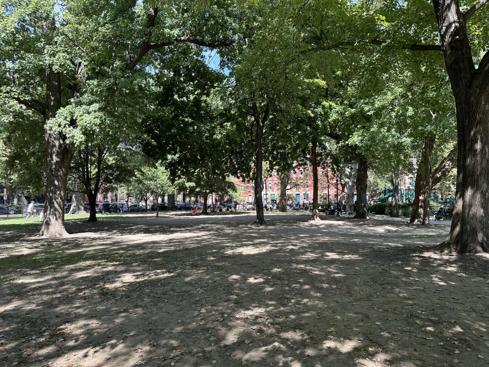 <p>A photo from the iPhone 14 Pro's main camera featuring trees in a park.</p>
