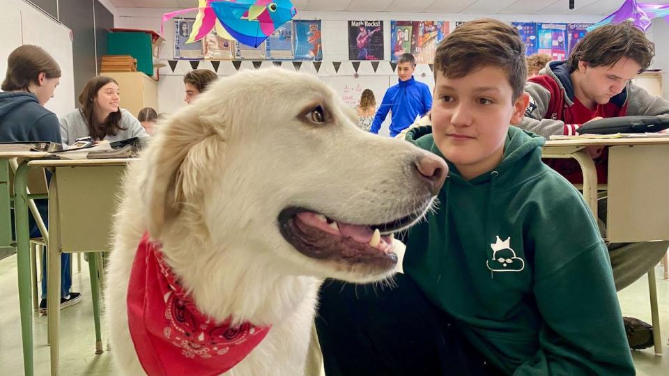 Isaac Houle-Poliquin helps walk the dogs outside so they can stretch their legs.