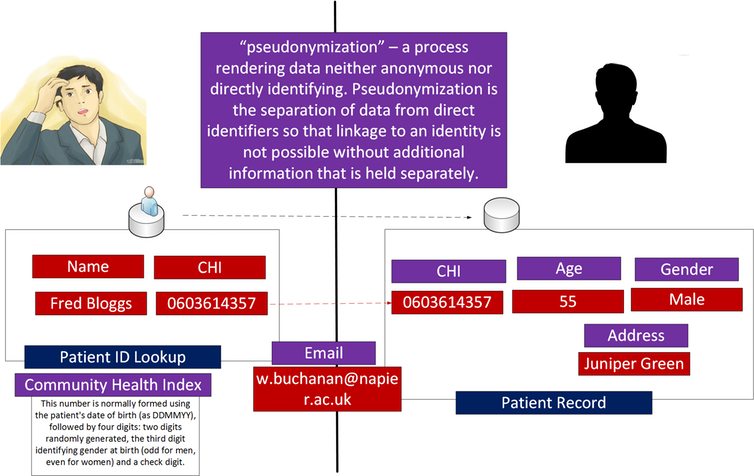 <span class="caption">The pseudo-anonymiser process.</span>