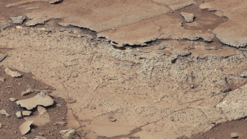 <p>This image from the right Mast Camera (Mastcam) of NASA’s Curiosity Mars rover shows rough spherical features on the surface of the planet in an area called ‘Yellowknife Bay’ in this NASA handout released January 15, 2013. (Photo: NASA/JPL-Caltech/MSSS/Reuters) </p>