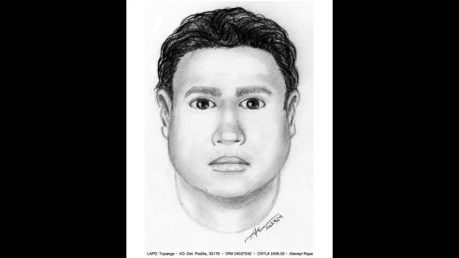 A composite sketch of the suspect wanted for an attempted rape in Canoga Park on June 23, 2024. (Los Angeles Police Department)