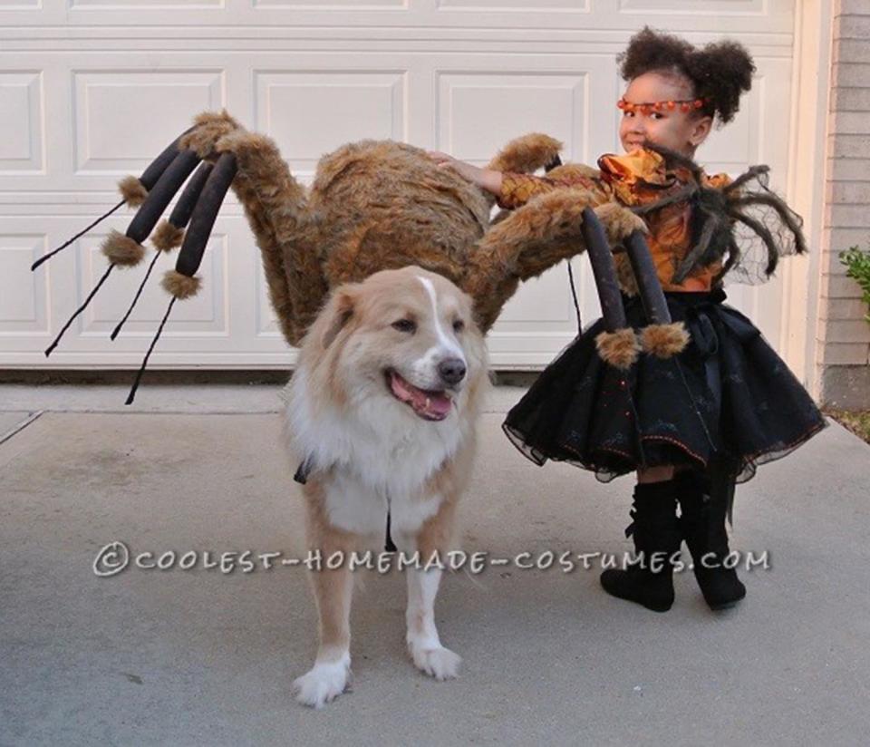 Via <a href="http://ideas.coolest-homemade-costumes.com/2013/11/10/pet-dog-spider-costume-and-toddler-spider-princess/" target="_blank">Coolest Homemade Costumes</a>