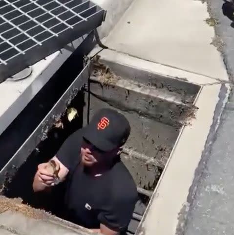 <p>Gary Guinnane brings a duckling to safety after it got trapped in a storm drain.</p>