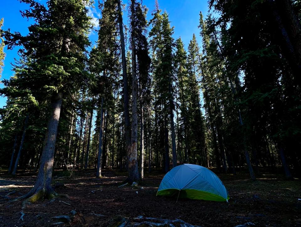 our tent in the woods