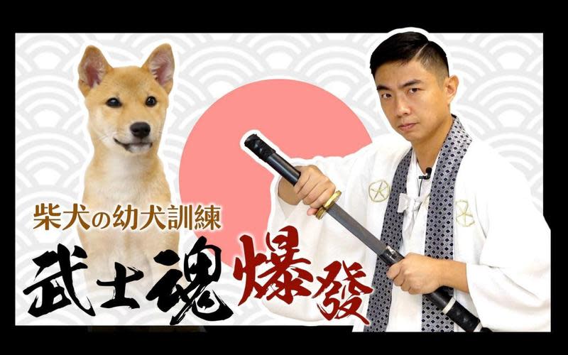 源於日本的柴犬血液裡擁有武士魂，對於想養柴犬的新手主人，是一大挑戰。熊爸用影片教導如何訓練傲嬌柴柴。