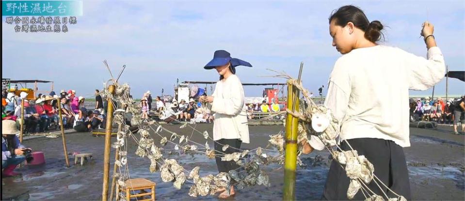 獲國際大獎認可！《野性濕地》紀錄台灣之美　團隊為拍「2保育生物」苦候23天