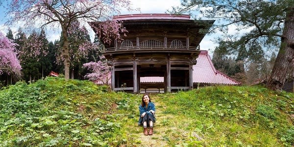 ▲多寶院櫻花與寺院相互襯映（圖/秋田白神觀光）