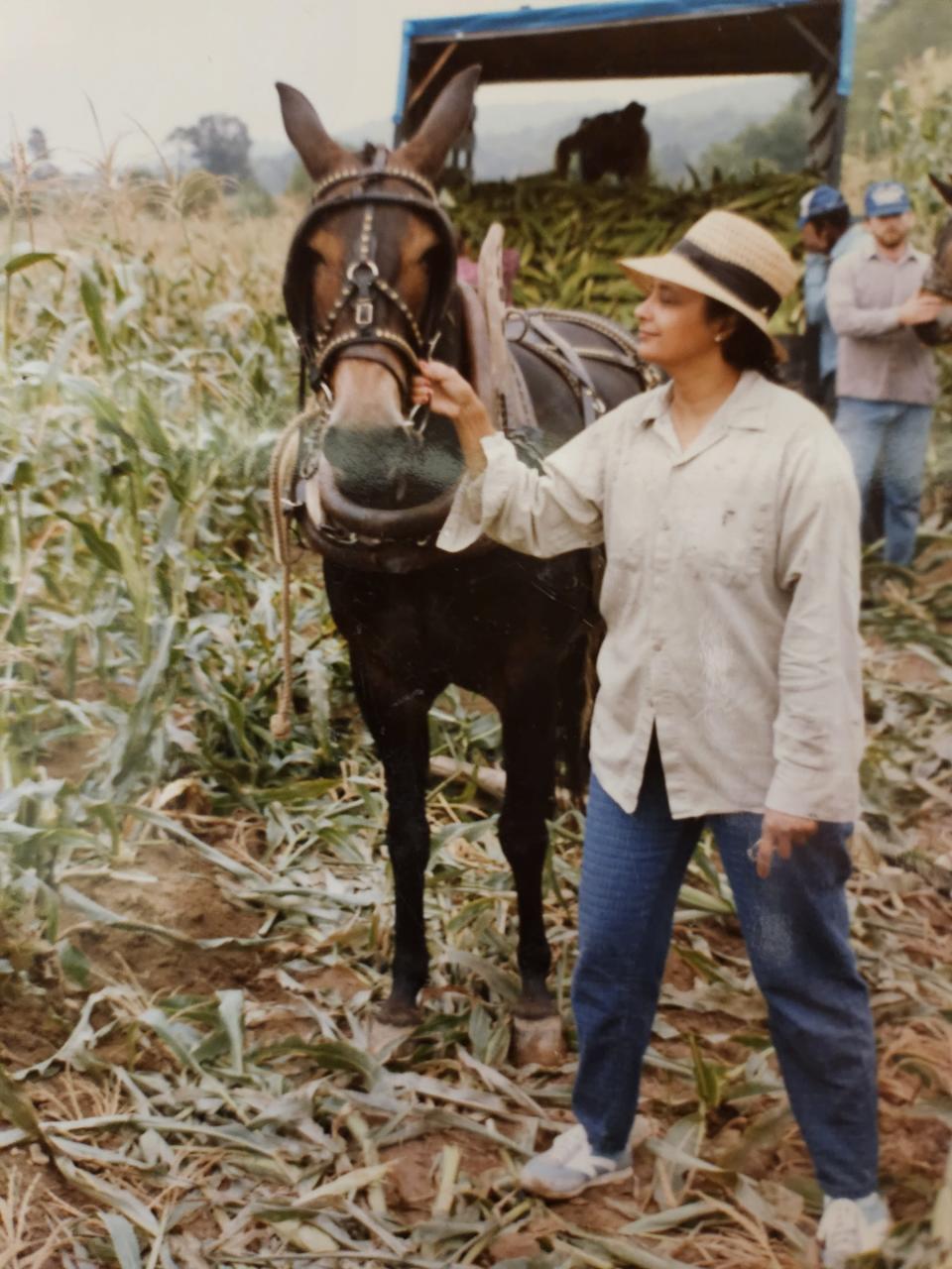 Julia working in the Hopper family cornfield.