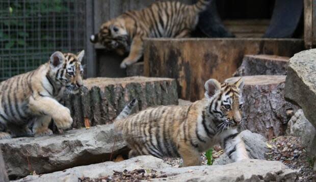 Calgary Zoo