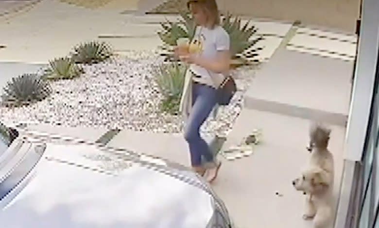 Security footage shows Heidi Planck leaving her home with her dog prior to arriving at her son's football game. (Los Angeles Police Department)