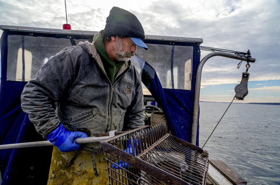 David Ghigliotty prepares his bullrake while quahogging on Narragansett Bay.